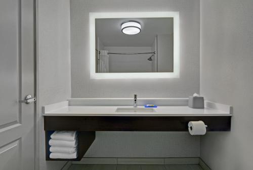 a bathroom with a sink and a mirror at Holiday Inn Express Atmore by IHG in Atmore