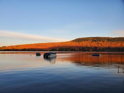 a lake with boats on the water with trees at Brown's Beach at Schroon Lake in Schroon Lake