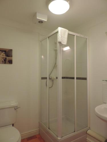 a bathroom with a shower and a toilet and a sink at Sea Breeze Apartment near the Eden Project in St Austell