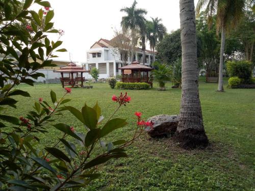a palm tree and a house in a yard at โรงแรมฉัตรแก้ว in Ban Dan Chang