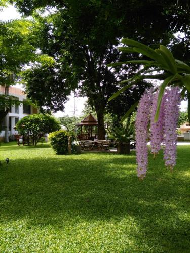 a bunch of purple flowers hanging from a tree at โรงแรมฉัตรแก้ว in Ban Dan Chang