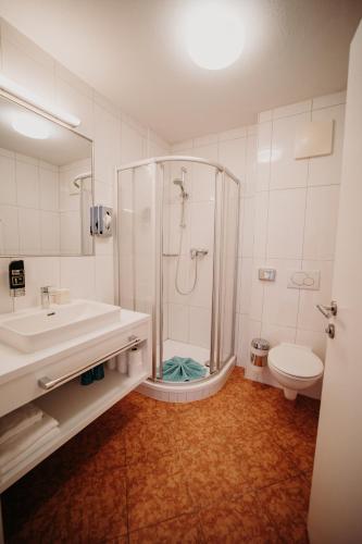 a bathroom with a shower and a sink and a toilet at EnjoyTheAlps - Appartements BARBARA in Flachau