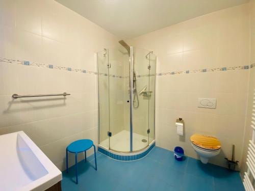 ein Bad mit einer Dusche und einem WC in der Unterkunft Ferienhaus Maxe, Wohnung Joona in Wulfen auf Fehmarn