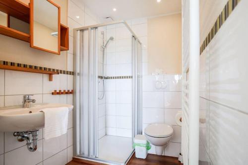 a bathroom with a shower and a toilet and a sink at Buedlfarm-Sued in Sahrensdorf