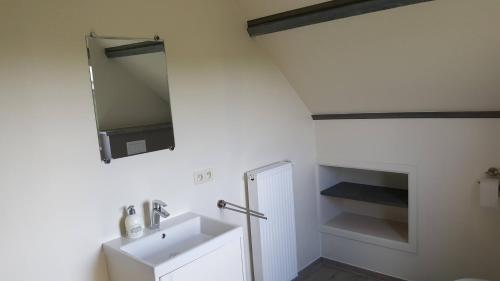 uma casa de banho com um lavatório e um espelho em b&b onZENhof em Heuvelland