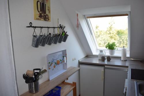 Ett kök eller pentry på Haus-am-Dorfteich-Kopendorf-Wohnung-2