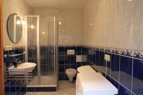 a bathroom with a toilet and a sink and a shower at FEWO-im-sanierten-Fachwerkhaus in Müglitztal