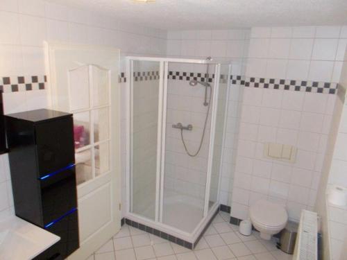a bathroom with a shower and a toilet at Janos-Ferienwohnung-2 in Friedrichsbrunn