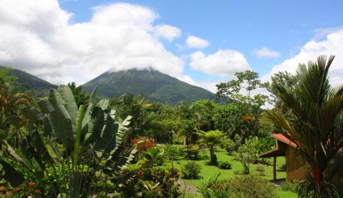 a mountain in the distance with trees and plants at Catarata Eco Lodge in Fortuna