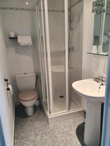 a bathroom with a shower and a toilet and a sink at Hôtel Glann Ar Mor in Arzon