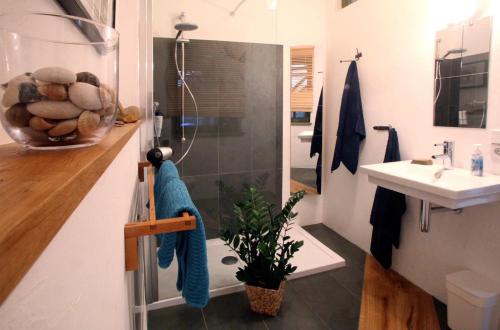 ein Bad mit einer Dusche und einem Waschbecken in der Unterkunft Altstadt Ferienwohnung Torgau in Torgau
