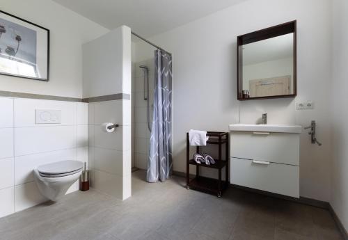 a bathroom with a toilet and a sink and a mirror at Apartment Close to the Beach in Flensburg
