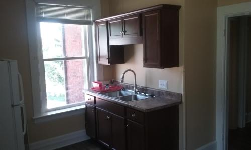a kitchen with a sink and a window at Boothie Manor in Davenport