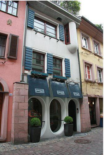 フライブルク・イム・ブライスガウにあるFerienwohnung-Konvikt-Aの青い窓と植物が目の前にある建物