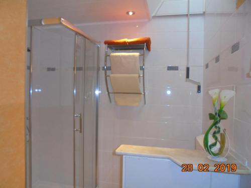 ein Bad mit einer Dusche und einem Waschbecken in der Unterkunft Kajüte in Warnemünde