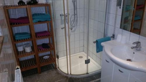a bathroom with a shower and a sink next to a sink at Ferienwohnung-Burgblick-in-Neuravensburg in Haggen