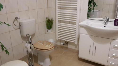 a bathroom with a toilet and a sink at Haus-Sonne in Flöha