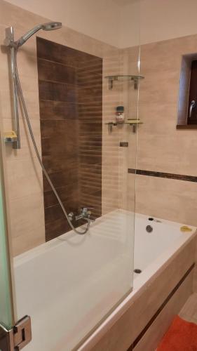 a bathroom with a shower with a tub at Aranypatak apartmanház in Szombathely