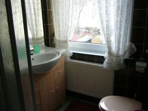 アルテンアウにあるHarzhaus-am-Brunnen-Wohnung-3のバスルーム(洗面台、トイレ付)、窓が備わります。