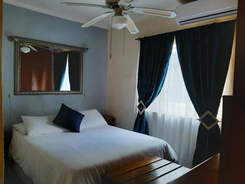 a bedroom with a bed with a ceiling fan and a window at Zebra Guesthouse in Lephalale