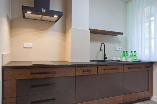 a kitchen with a sink and a counter at WISŁA Cechini in Krynica Zdrój
