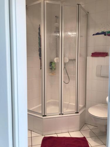 a bathroom with a shower and a toilet at Beachhouse-Staberdorf in Staberdorf