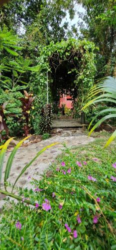 Giardino di Wooden Hut Koh Kood