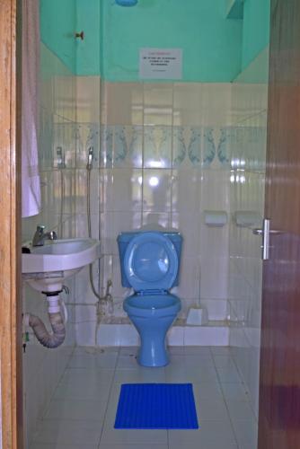 a bathroom with a blue toilet and a sink at TAITA LUXURY HOTELS LTD in Wundanyi