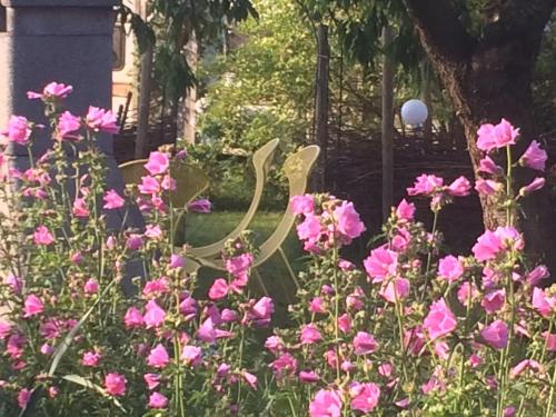 Gallery image of Skipper-Tating-Hues in Tating