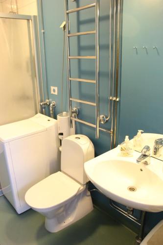 La salle de bains est pourvue de toilettes, d'un lavabo et d'une douche. dans l'établissement Jugend Boutique Guesthome, à Pietarsaari