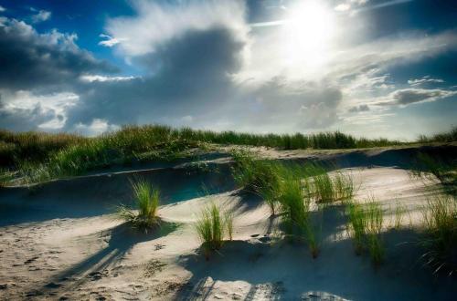 a beach with grass in the sand and the sun at INSEL-LAND-HOTEL MICHAELSEN im November Morgen-Yoga u Sauna inkl in Borkum