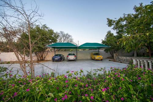 Κήπος έξω από το Zissis Villa & pool 5min drive to beach