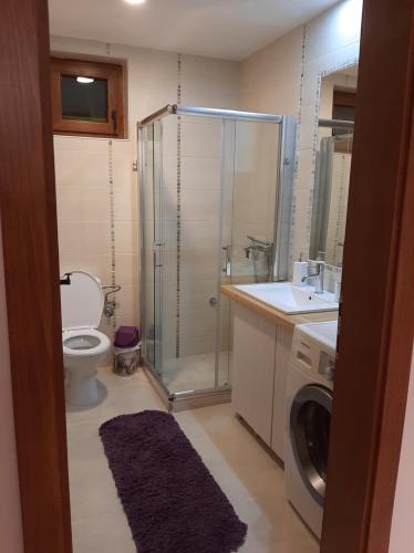 a bathroom with a shower toilet and a washing machine at Vikendica Ranč Terzić in Čačak