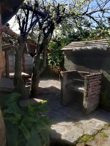 a stone bench in a yard with a tree at Cabañas Monje in Tandil