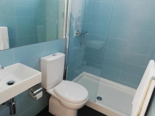 La salle de bains est pourvue de toilettes, d'une douche et d'un lavabo. dans l'établissement Welcome Douro, à Cinfães