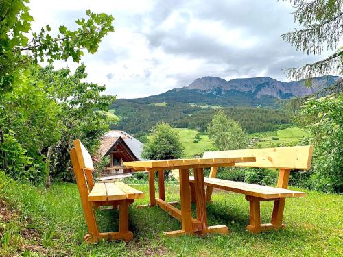 a wooden picnic table and two benches in the grass at Apartment HaNiLe in Sarntal