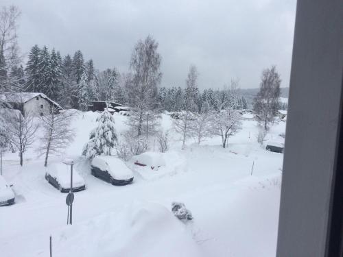 um quintal coberto de neve com carros cobertos de neve em Ferienwohnung-Koehler-2 em Altreichenau