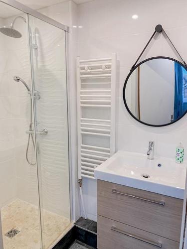 une salle de bain avec une douche, un lavabo et un miroir dans l'établissement La Tour des Chevaliers, à Sélestat