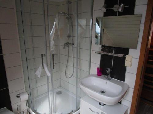 La salle de bains est pourvue d'une douche, d'un lavabo et de toilettes. dans l'établissement Haus-Kummeleck-Wohnung-2, à Bad Lauterberg