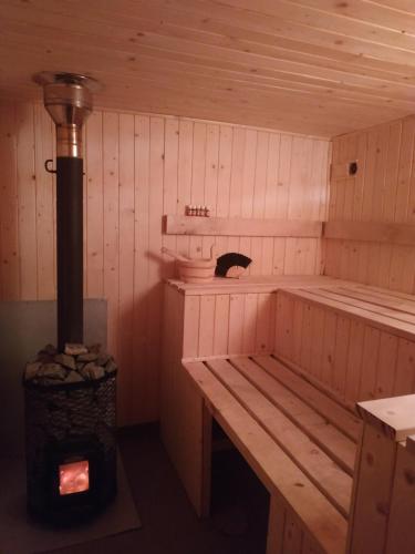 a inside of a sauna with a wood stove at Anna Pokoje Gościnne in Krościenko