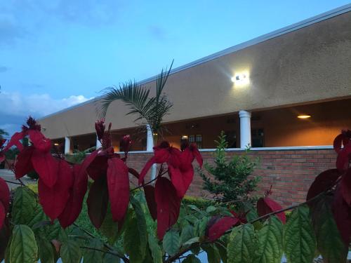 Foto de la galería de St Etienne Guest House en Kigali