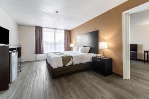 a hotel room with a bed and a television at Quality Inn & Suites Vandalia near I-70 and Hwy 51 in Vandalia