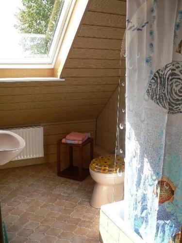 a bathroom with a toilet and a sink at Apartment-1 in Schönhagen