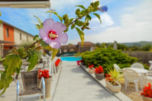 une fleur rose sur une plante dans un jardin dans l'établissement Hôtel Les Gabarres, à Tour-de-Faure