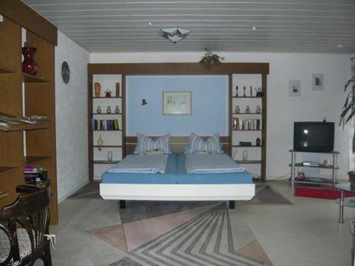 ein Schlafzimmer mit einem Bett und einem TV. in der Unterkunft Ferienwohnungen Roder - Ferienwohnung I in Freiburg im Breisgau