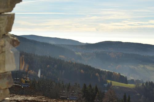 a view of a mountain with a train in the distance at Luxury Wellness Apartment in Rokytnice nad Jizerou