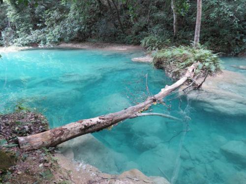 Gallery image of Bel-Há Ecoparque in El Naranjo