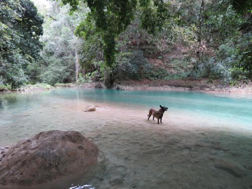 Bel-Há Ecoparque – Photos 5