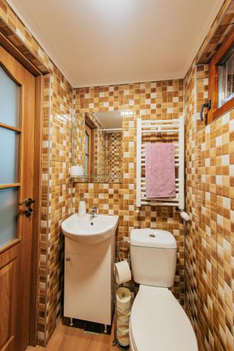a bathroom with a toilet and a sink at Cabana Mihai in Sovata