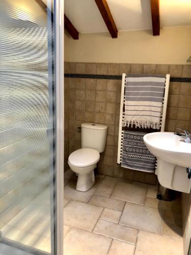 une salle de bain avec toilettes, lavabo et douche dans l'établissement Les Granges Lestang, à Sainte-Innocence